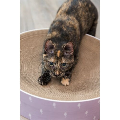 Trixie Lilly Karton Katzenminze Lilac 45X45X10 CM